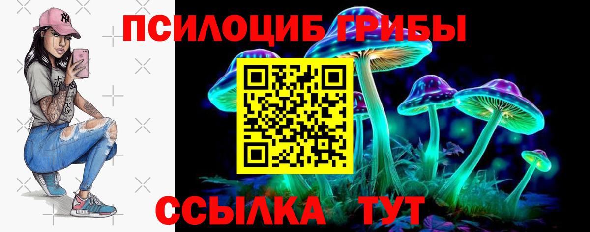 где найти   Галлюциногенные грибы ЛСД  Вход с VPN  Татарск  Галлюциногенные грибы Psilocybe 